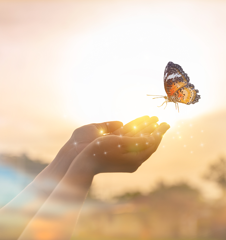 Read Brave - Tutoring For Dyslexia